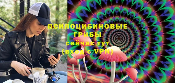 мдма Инта