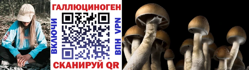наркошоп  Скопин  Псилоцибиновые грибы MAGIC MUSHROOMS 