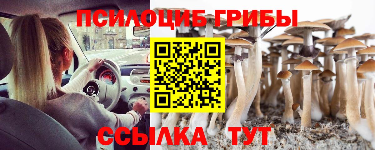 как найти закладки  Вход с VPN  Псилоцибиновые грибы Cubensis  Скопин  Псилоцибиновые грибы Psilocybe 